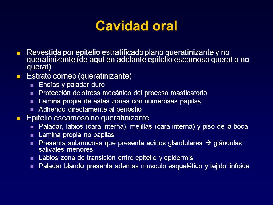 Cavidad oral Revestida por epitelio estratificado plano queratinizante y no queratinizante (de aquí en adelante epitelio escamoso querat o no querat)