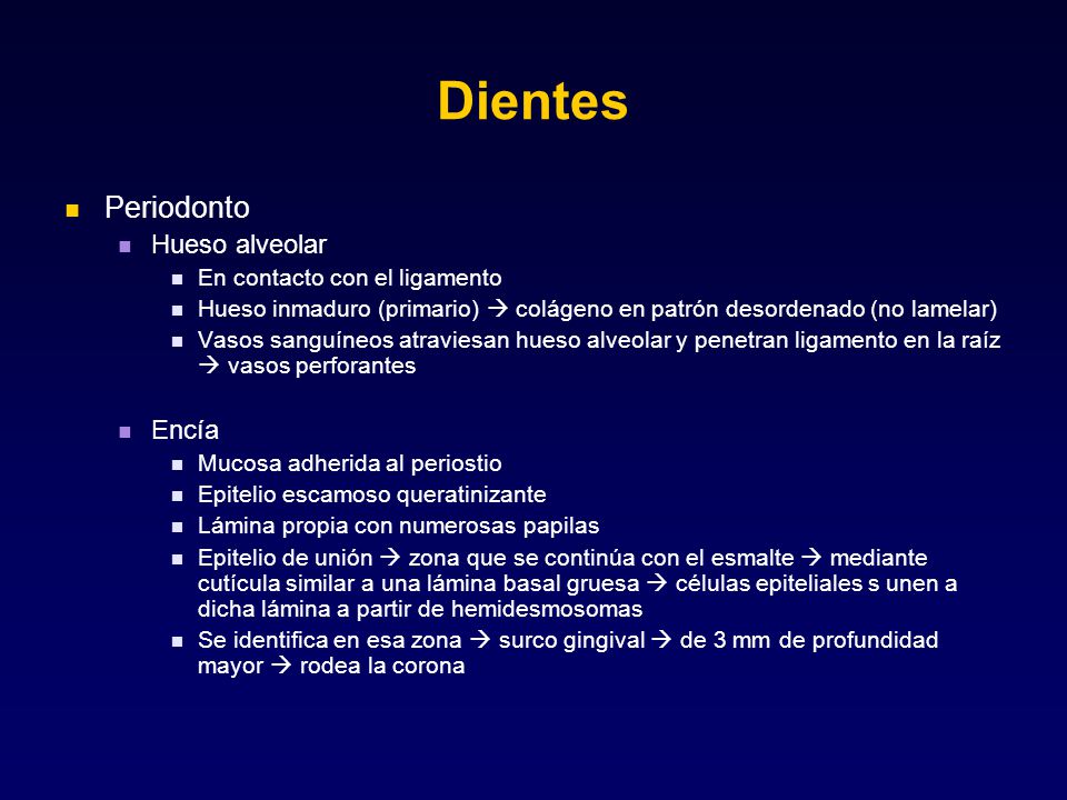 Dientes Periodonto Hueso alveolar Encía En contacto con el ligamento