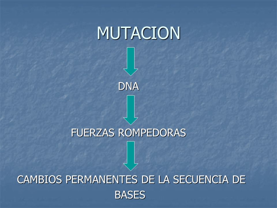 MUTACION DNA FUERZAS ROMPEDORAS CAMBIOS PERMANENTES DE LA SECUENCIA DE