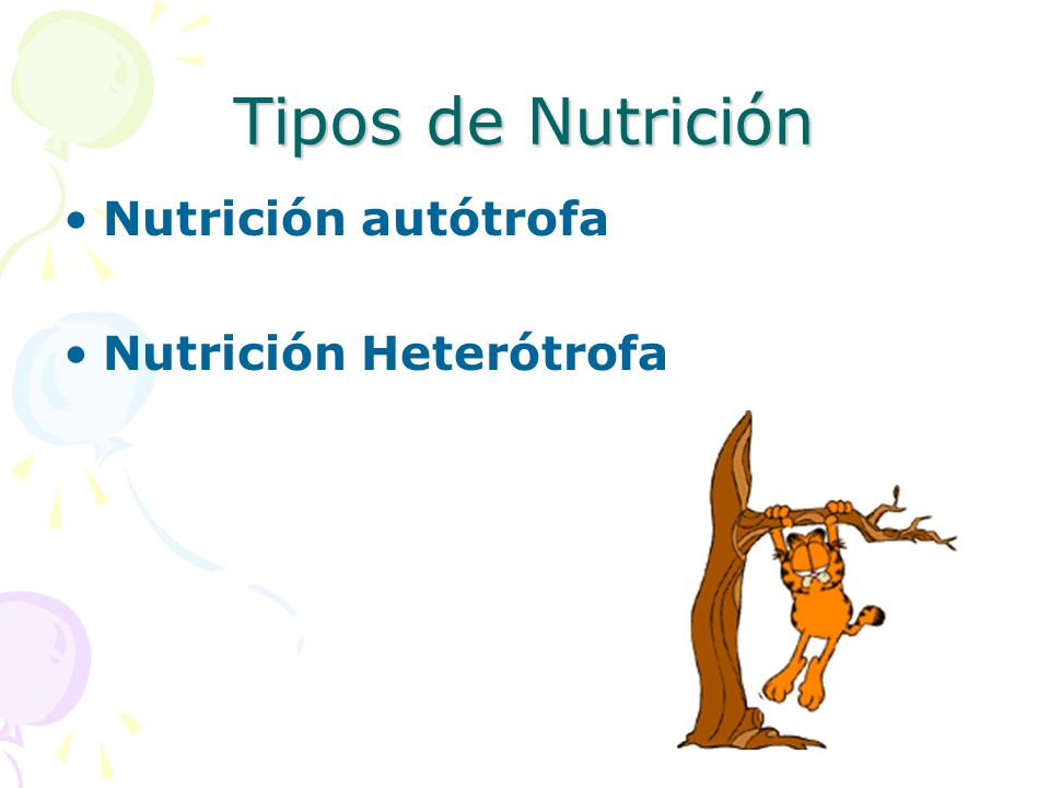 Tipos de Nutrición Nutrición autótrofa Nutrición Heterótrofa