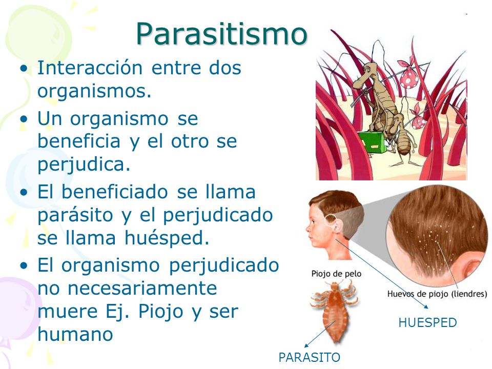 Parasitismo Interacción entre dos organismos.