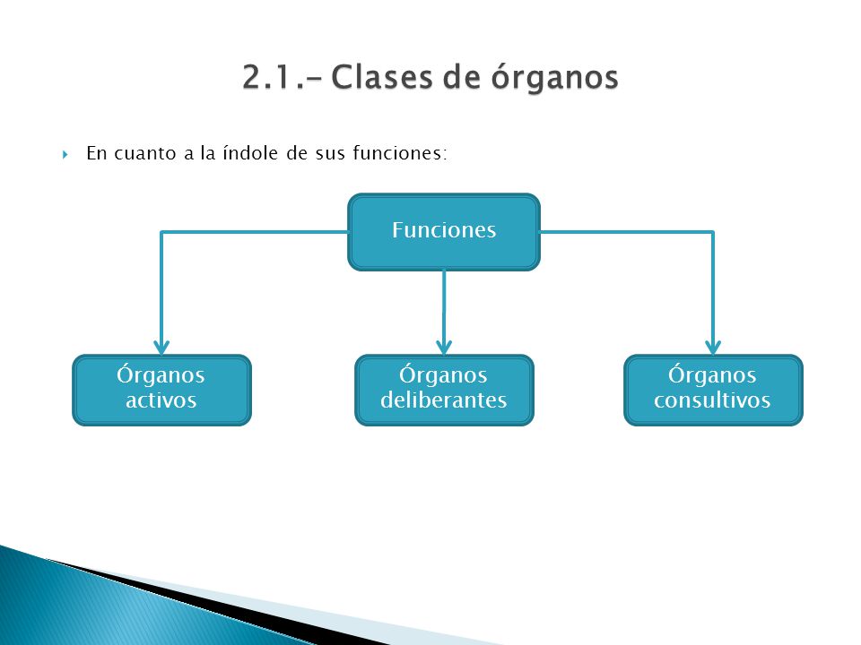 2.1.- Clases de órganos Funciones Órganos activos Órganos deliberantes