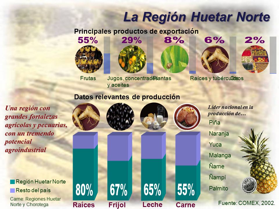 55% 29% 8% 6% 2% 80% 67% 65% 55% La Región Huetar Norte