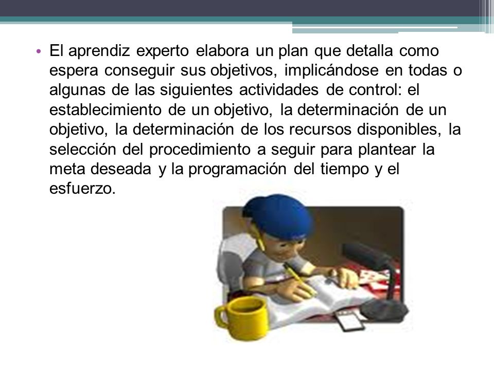 El aprendiz experto elabora un plan que detalla como espera conseguir sus objetivos, implicándose en todas o algunas de las siguientes actividades de control: el establecimiento de un objetivo, la determinación de un objetivo, la determinación de los recursos disponibles, la selección del procedimiento a seguir para plantear la meta deseada y la programación del tiempo y el esfuerzo.