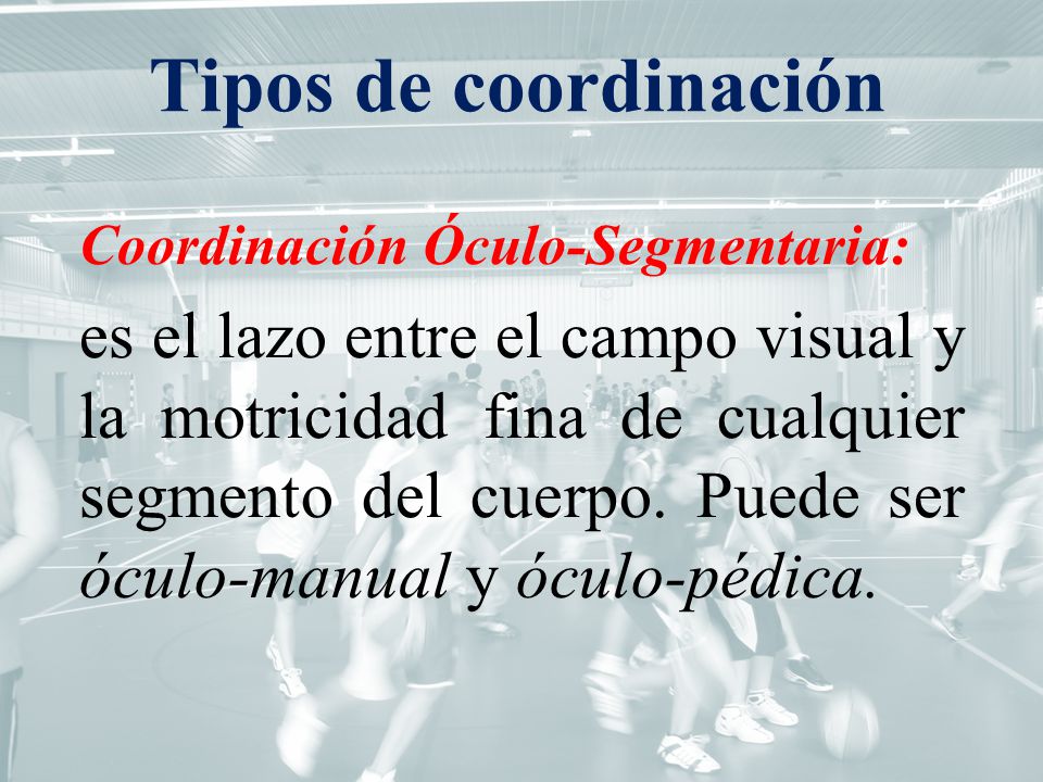 Tipos de coordinación Coordinación Óculo-Segmentaria:
