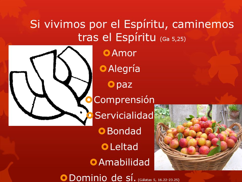 Si vivimos por el Espíritu, caminemos tras el Espíritu (Ga 5,25)
