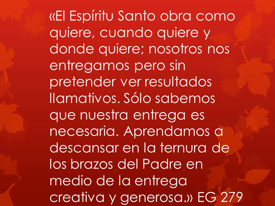«El Espíritu Santo obra como quiere, cuando quiere y donde quiere; nosotros nos entregamos pero sin pretender ver resultados llamativos.