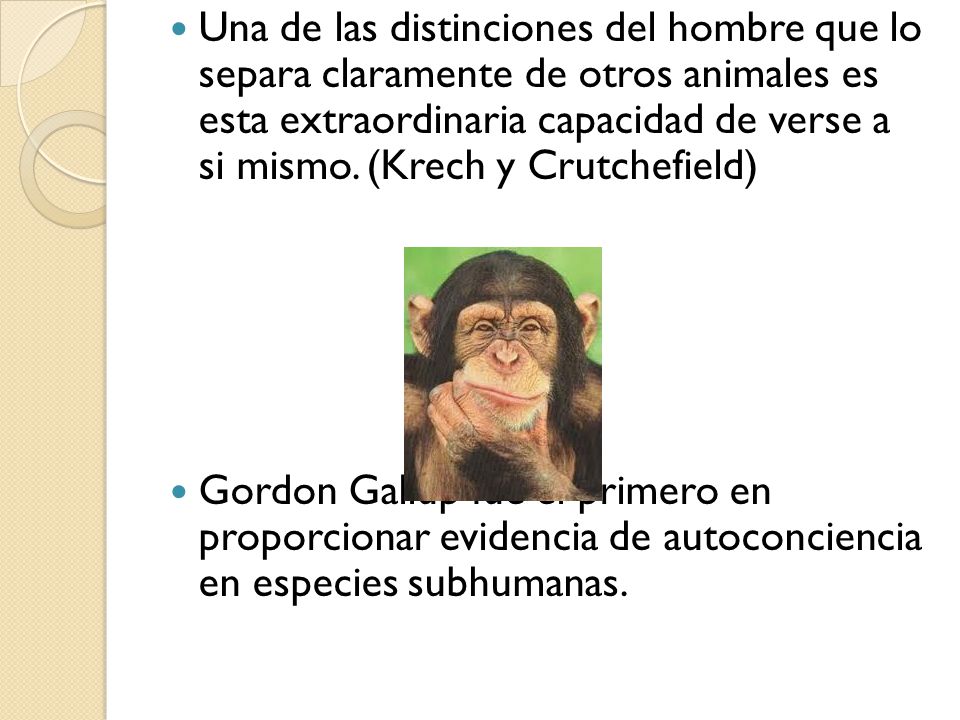 Una de las distinciones del hombre que lo separa claramente de otros animales es esta extraordinaria capacidad de verse a si mismo. (Krech y Crutchefield)