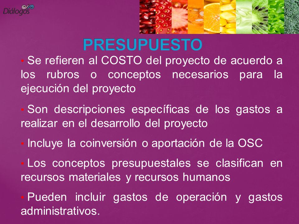 PRESUPUESTO Se refieren al COSTO del proyecto de acuerdo a los rubros o conceptos necesarios para la ejecución del proyecto.