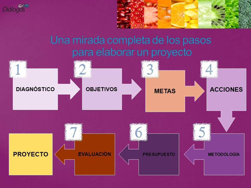 Una mirada completa de los pasos para elaborar un proyecto