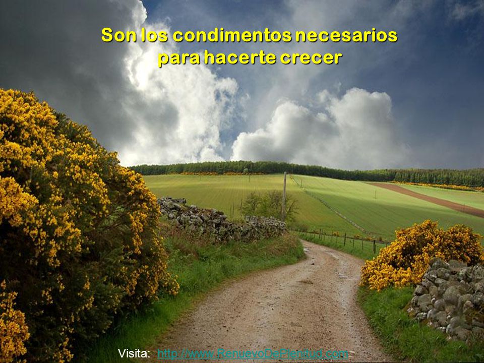 Son los condimentos necesarios para hacerte crecer
