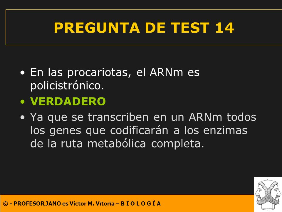 PREGUNTA DE TEST 14 En las procariotas, el ARNm es policistrónico.