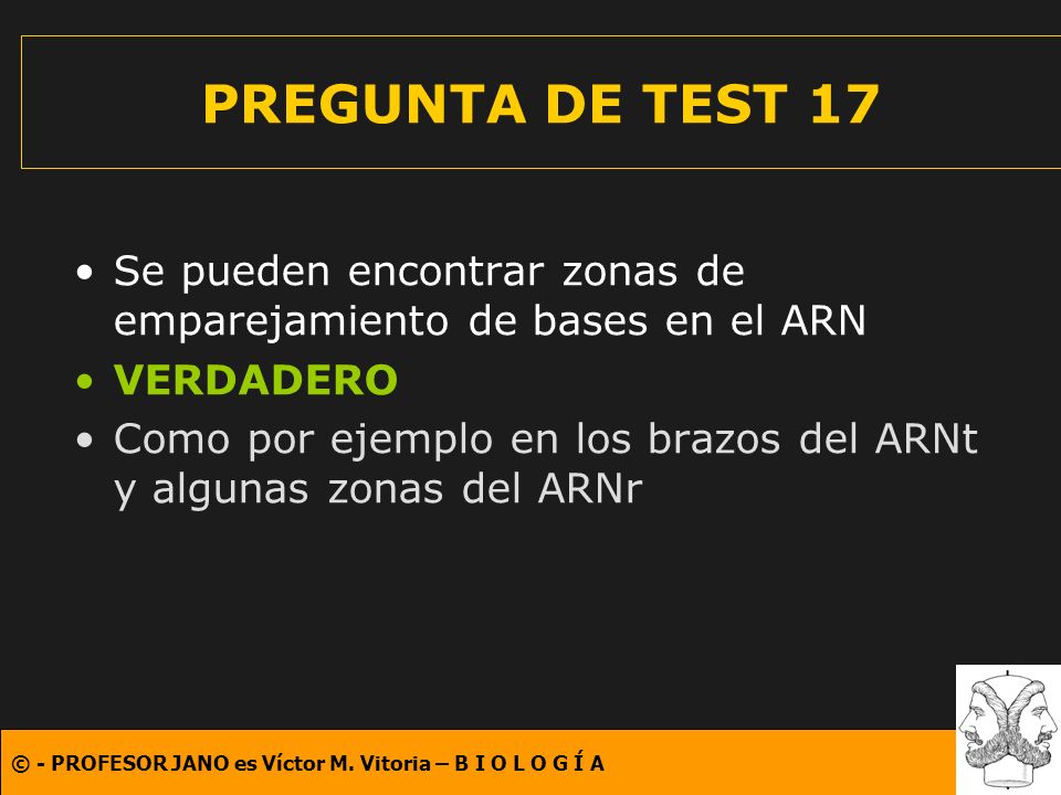 PREGUNTA DE TEST 17 Se pueden encontrar zonas de emparejamiento de bases en el ARN. VERDADERO.
