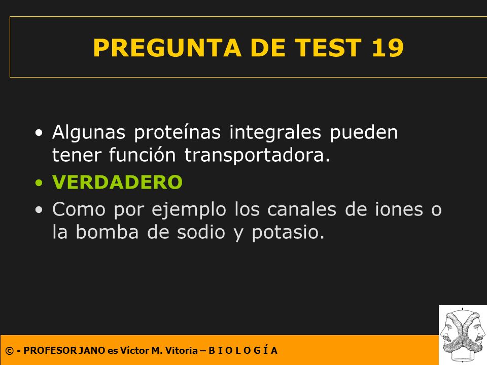PREGUNTA DE TEST 19 Algunas proteínas integrales pueden tener función transportadora. VERDADERO.