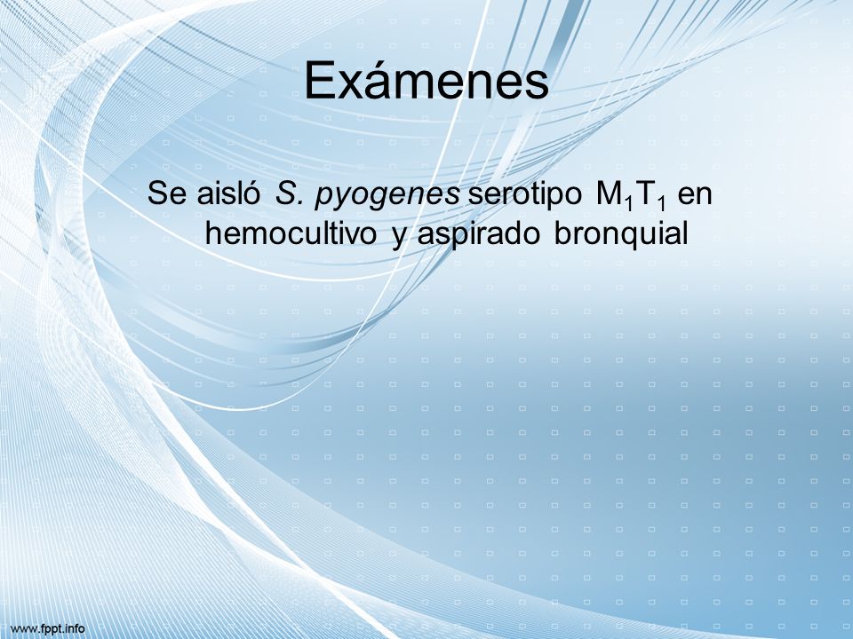 Se aisló S. pyogenes serotipo M1T1 en hemocultivo y aspirado bronquial