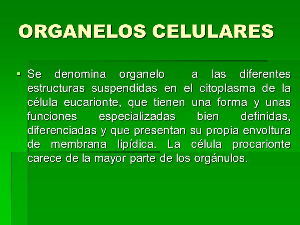 ORGANELOS CELULARES