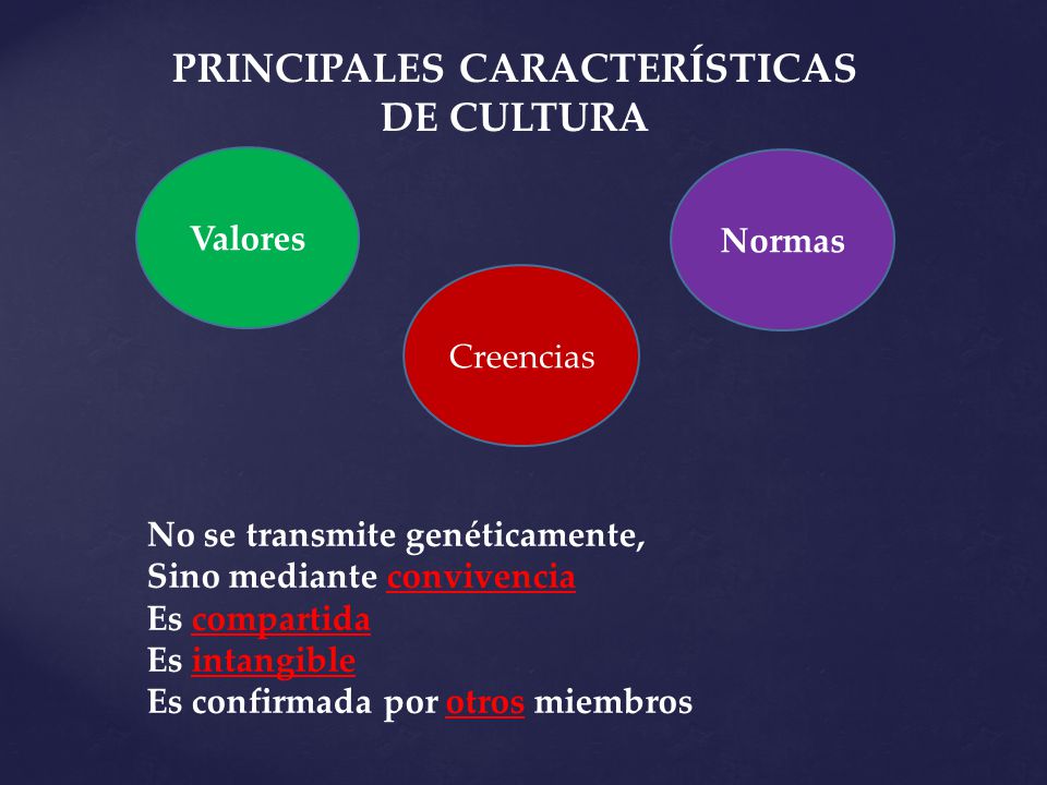 PRINCIPALES CARACTERÍSTICAS