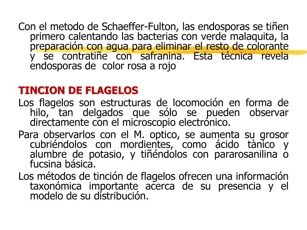 Con el metodo de Schaeffer-Fulton, las endosporas se tiñen primero calentando las bacterias con verde malaquita, la preparación con agua para eliminar el resto de colorante y se contratiñe con safranina. Esta técnica revela endosporas de color rosa a rojo