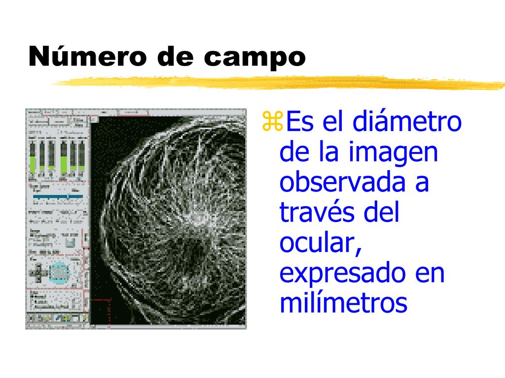 Número de campo Es el diámetro de la imagen observada a través del ocular, expresado en milímetros