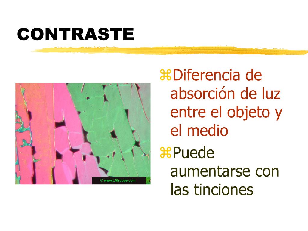 CONTRASTE Diferencia de absorción de luz entre el objeto y el medio
