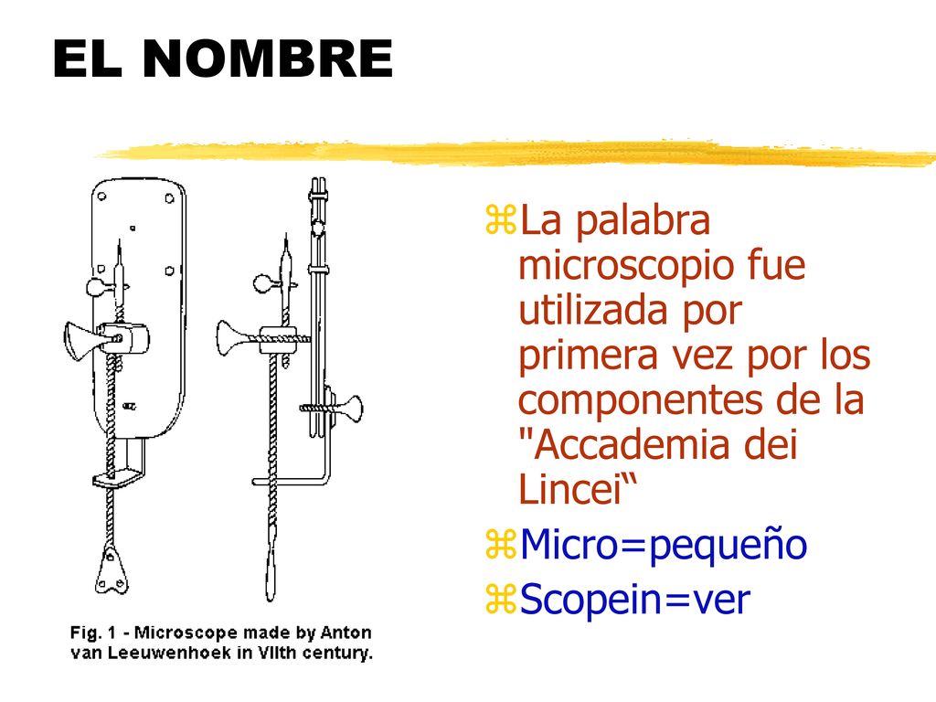 EL NOMBRE La palabra microscopio fue utilizada por primera vez por los componentes de la Accademia dei Lincei