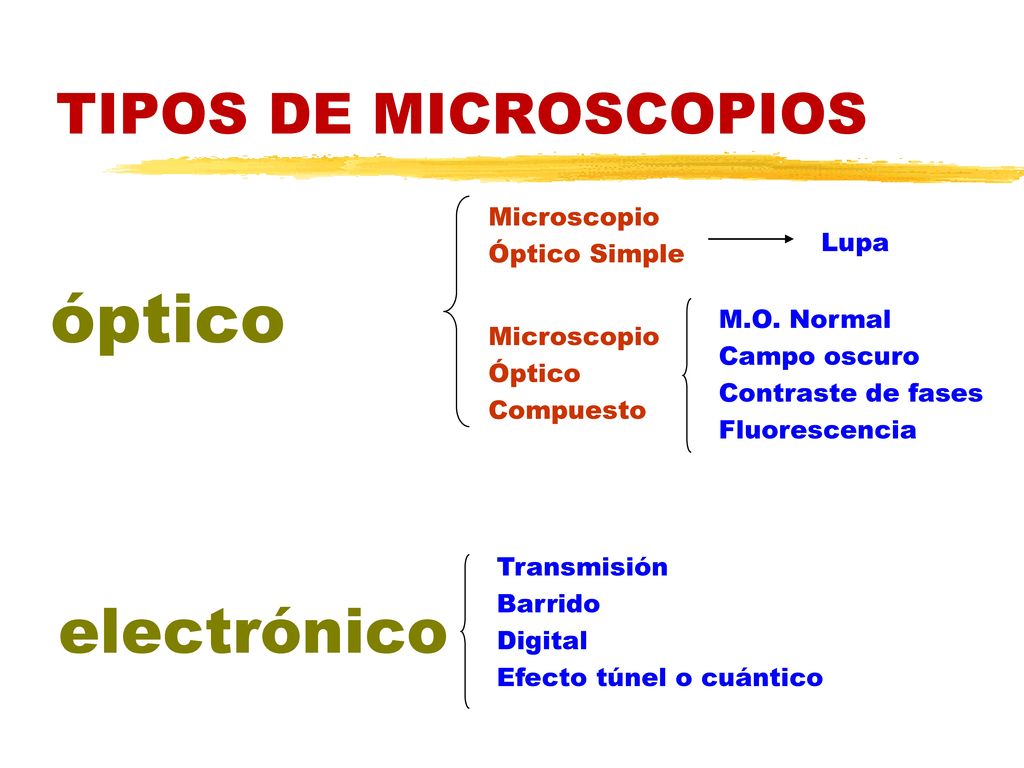 óptico electrónico TIPOS DE MICROSCOPIOS Microscopio Óptico Simple