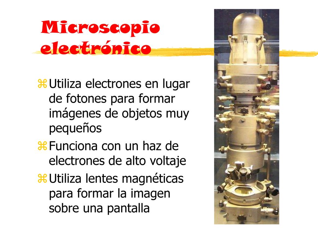 EL MICROSCOPIO. - ppt video online descargar