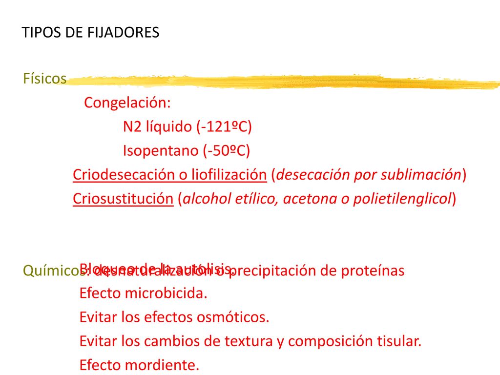 TIPOS DE FIJADORES Físicos. Congelación: N2 líquido (-121ºC) Isopentano (-50ºC) Criodesecación o liofilización (desecación por sublimación)