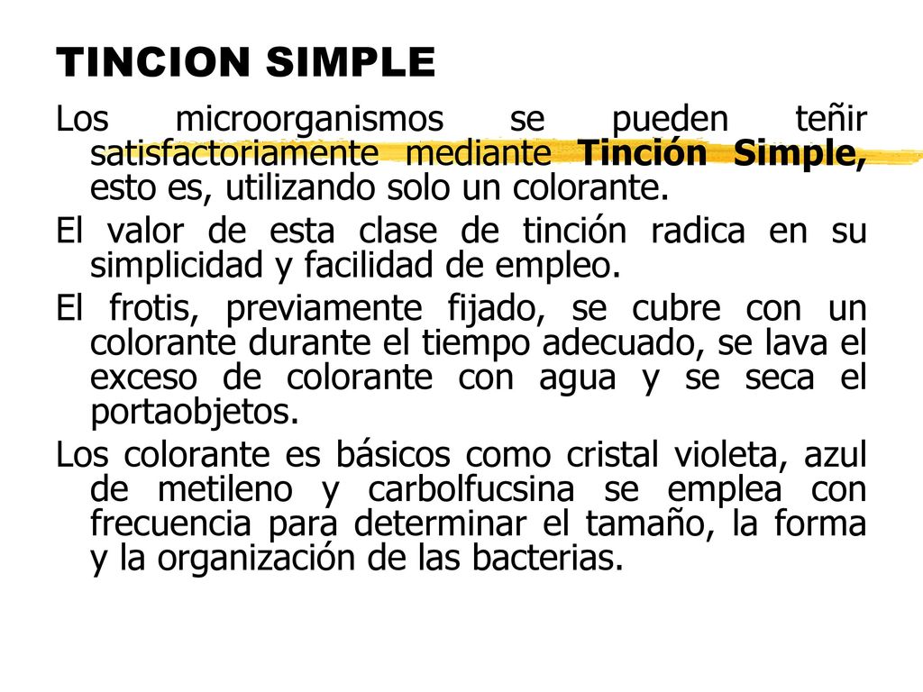 TINCION SIMPLE Los microorganismos se pueden teñir satisfactoriamente mediante Tinción Simple, esto es, utilizando solo un colorante.
