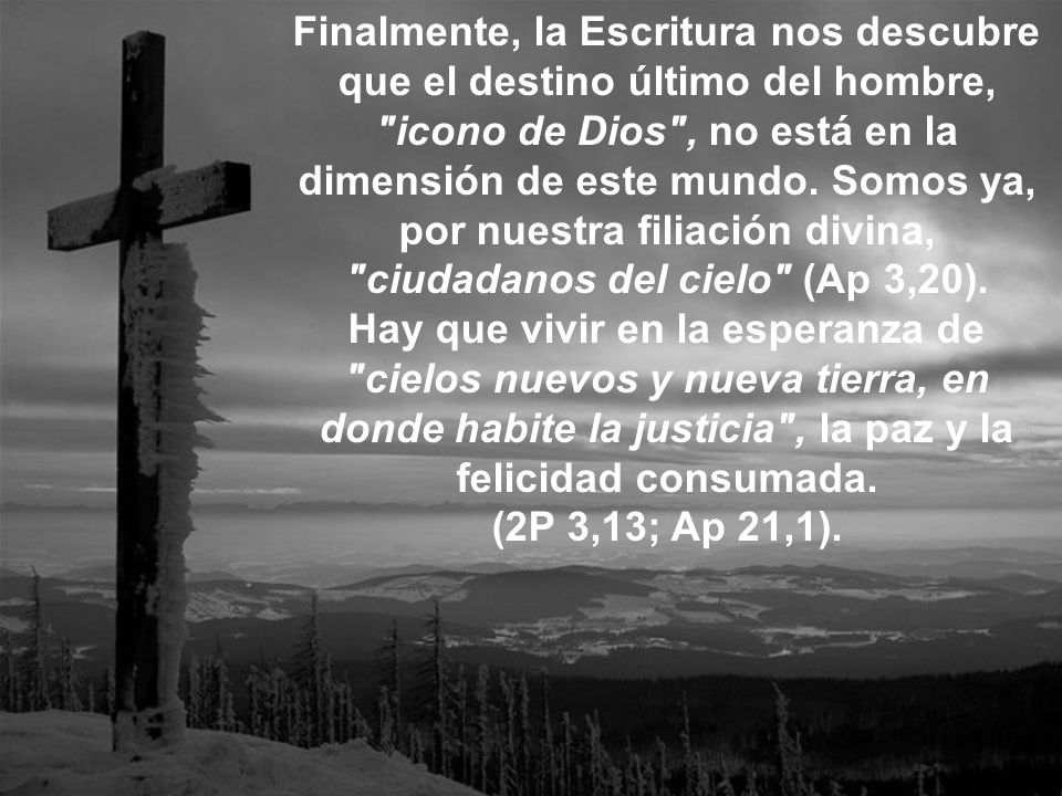 Finalmente, la Escritura nos descubre que el destino último del hombre, icono de Dios , no está en la dimensión de este mundo.