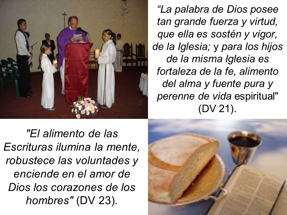 La palabra de Dios posee tan grande fuerza y virtud, que ella es sostén y vigor, de la Iglesia; y para los hijos de la misma Iglesia es fortaleza de la fe, alimento del alma y fuente pura y perenne de vida espiritual (DV 21).