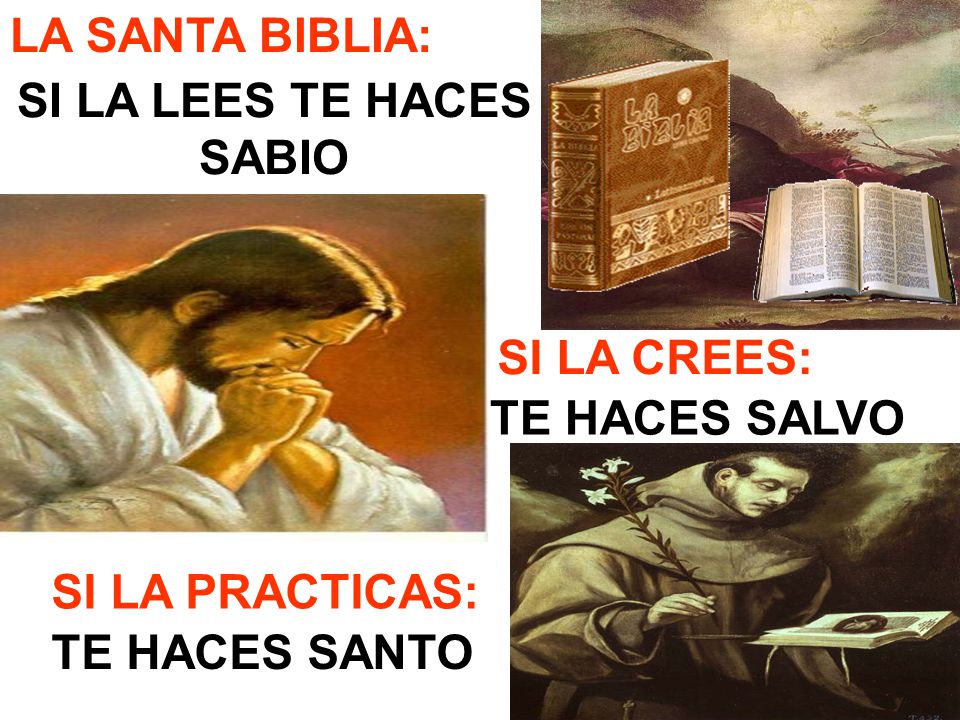 LA SANTA BIBLIA: SI LA LEES TE HACES. SABIO. SI LA CREES: TE HACES SALVO.