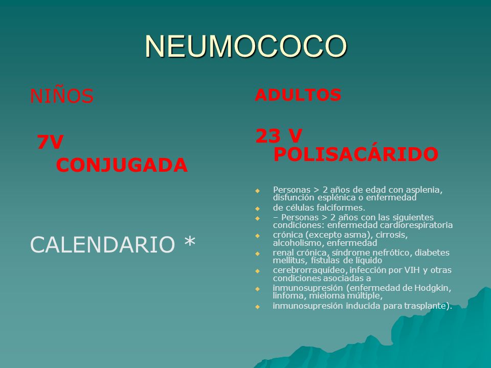NEUMOCOCO CALENDARIO * NIÑOS 23 V POLISACÁRIDO 7V CONJUGADA ADULTOS