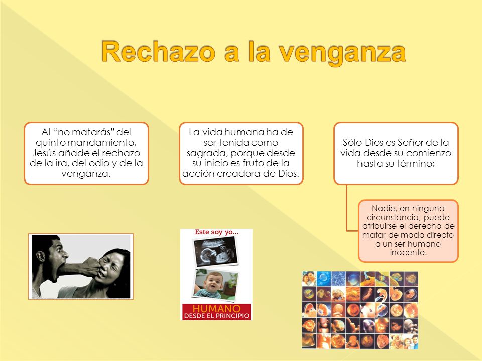 Sólo Dios es Señor de la vida desde su comienzo hasta su término;