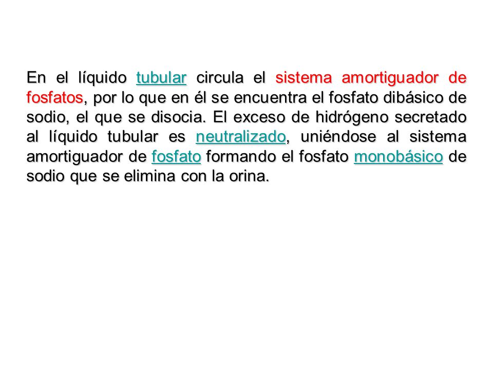 En el líquido tubular circula el sistema amortiguador de fosfatos, por lo que en él se encuentra el fosfato dibásico de sodio, el que se disocia.