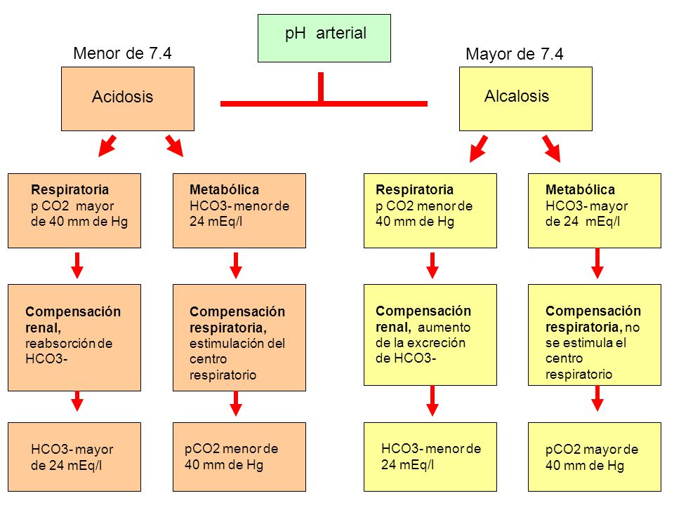 pH arterial Menor de 7.4 Mayor de 7.4 Acidosis Alcalosis