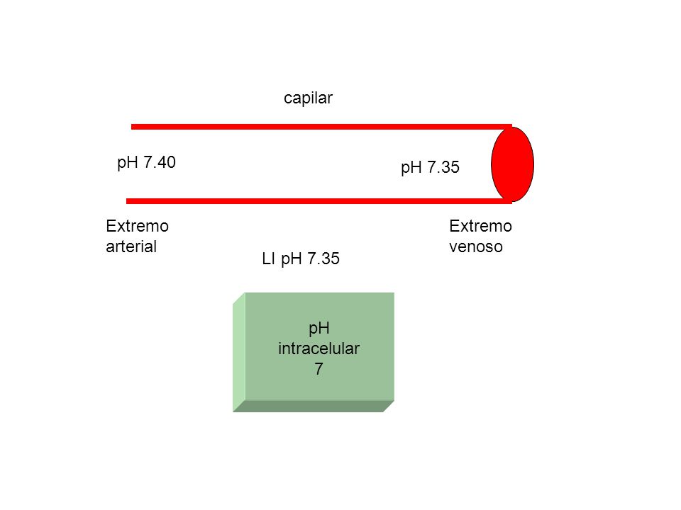 capilar pH 7.40 pH 7.35 Extremo arterial Extremo venoso LI pH 7.35 pH intracelular 7
