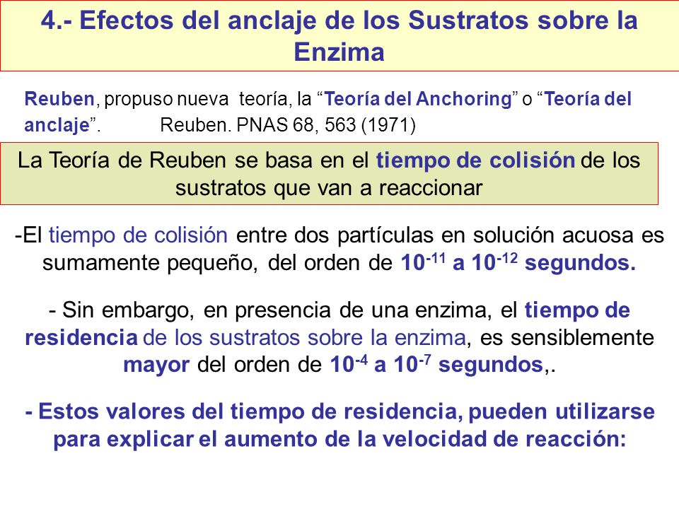 4.- Efectos del anclaje de los Sustratos sobre la Enzima