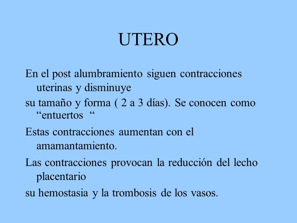UTERO En el post alumbramiento siguen contracciones uterinas y disminuye. su tamaño y forma ( 2 a 3 días). Se conocen como entuertos
