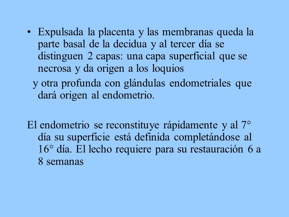 Expulsada la placenta y las membranas queda la parte basal de la decidua y al tercer día se distinguen 2 capas: una capa superficial que se necrosa y da origen a los loquios