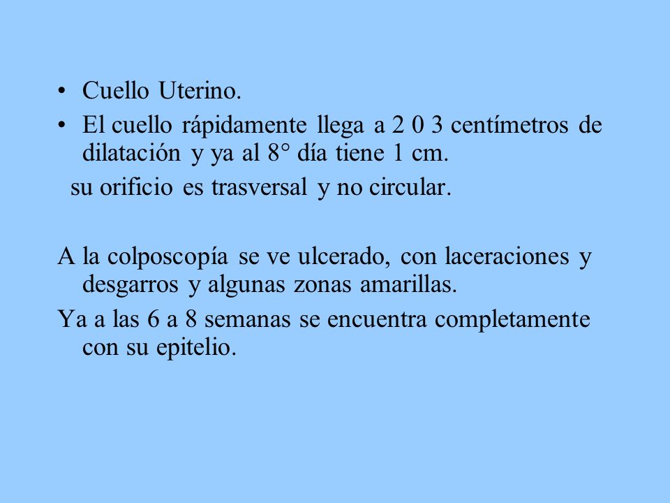 Cuello Uterino. El cuello rápidamente llega a centímetros de dilatación y ya al 8° día tiene 1 cm.