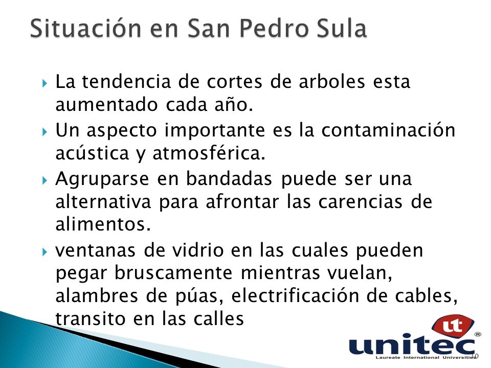 Situación en San Pedro Sula