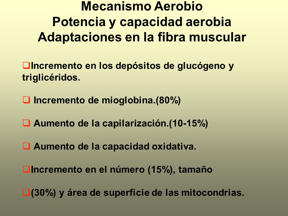 Mecanismo Aerobio Potencia y capacidad aerobia Adaptaciones en la fibra muscular