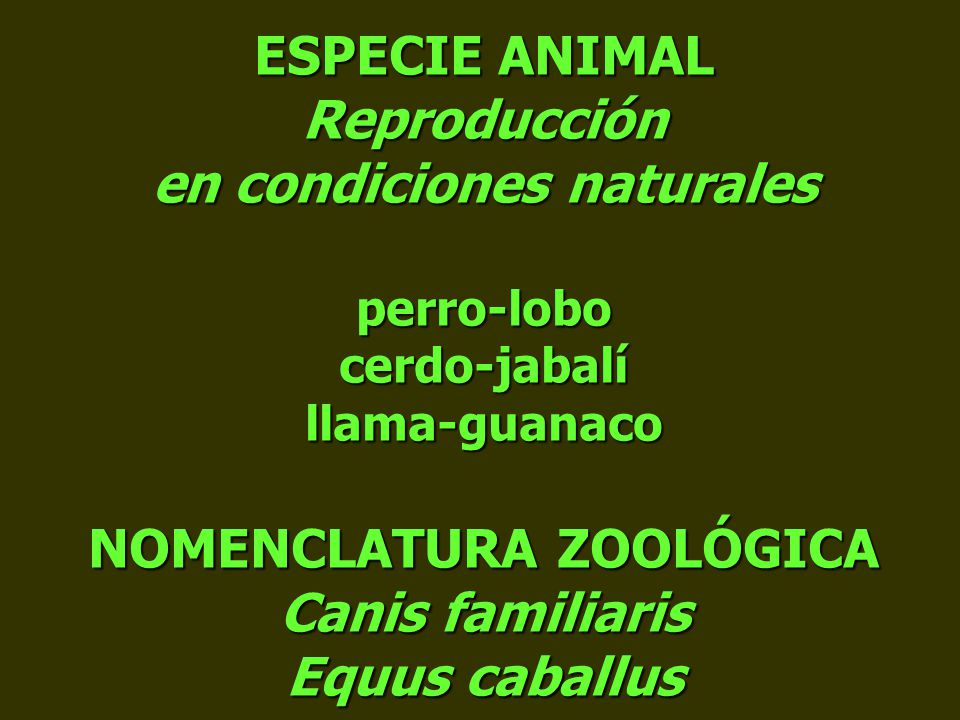 ESPECIE ANIMAL Reproducción en condiciones naturales perro-lobo cerdo-jabalí llama-guanaco NOMENCLATURA ZOOLÓGICA Canis familiaris Equus caballus