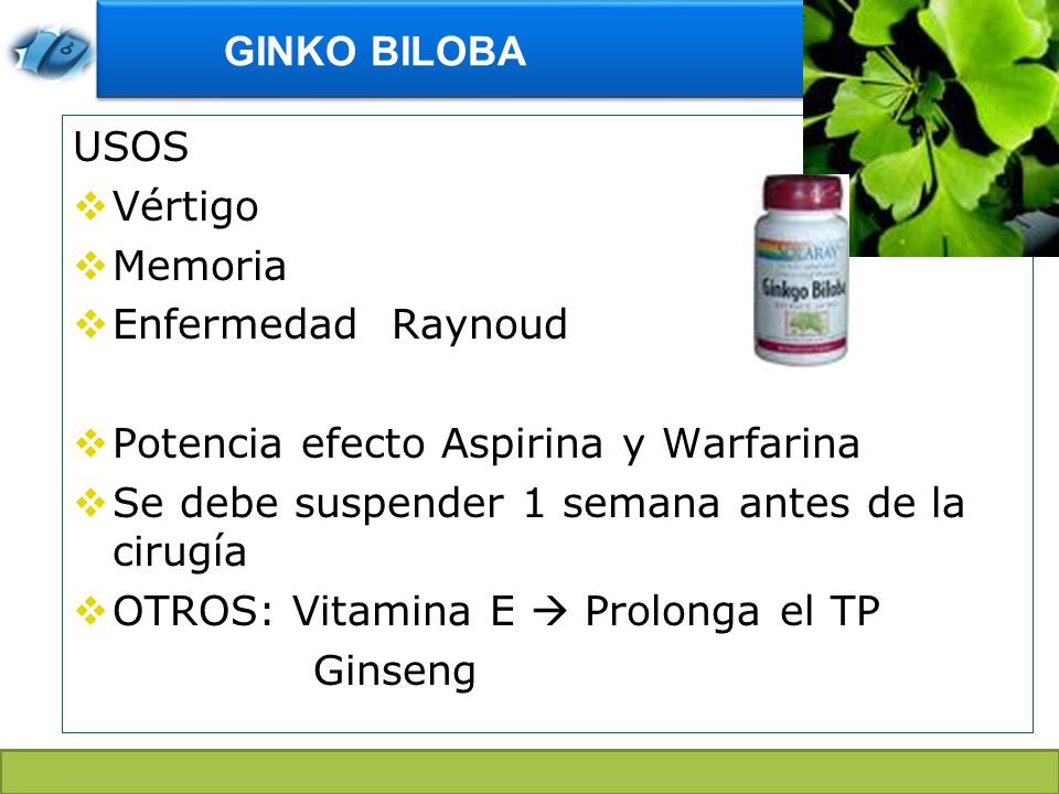 GINKO BILOBA USOS. Vértigo. Memoria. Enfermedad Raynoud. Potencia efecto Aspirina y Warfarina.