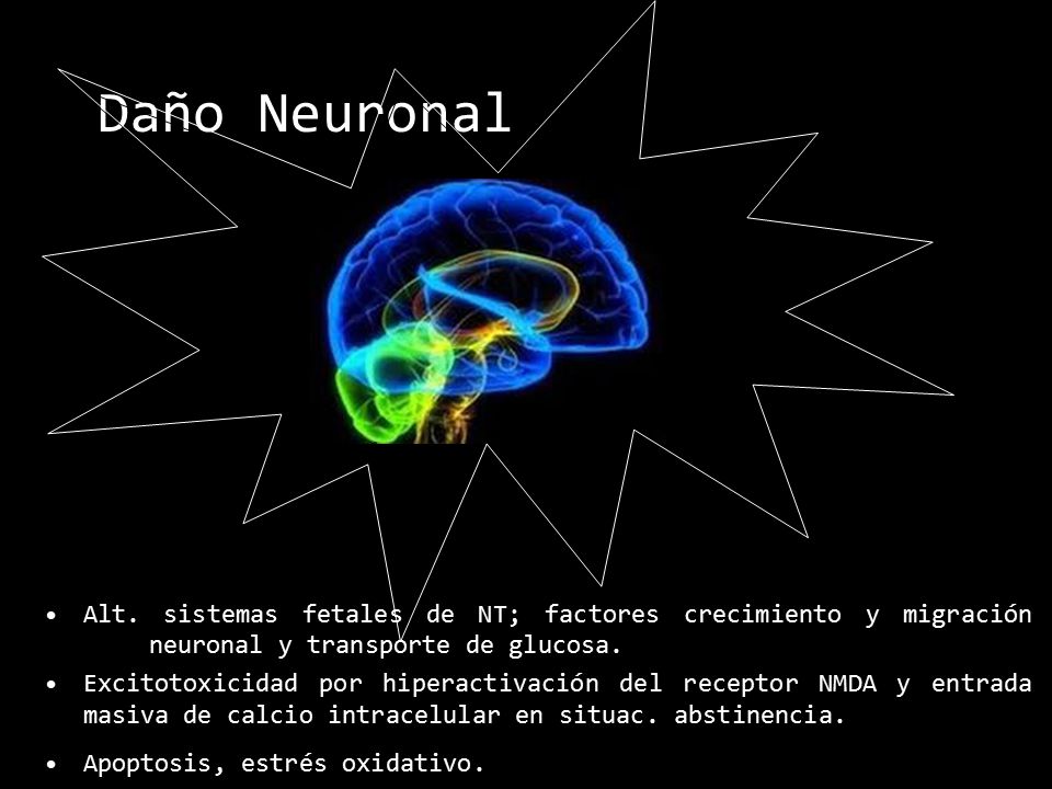 Daño Neuronal Alt. sistemas fetales de NT; factores crecimiento y migración neuronal y transporte de glucosa.