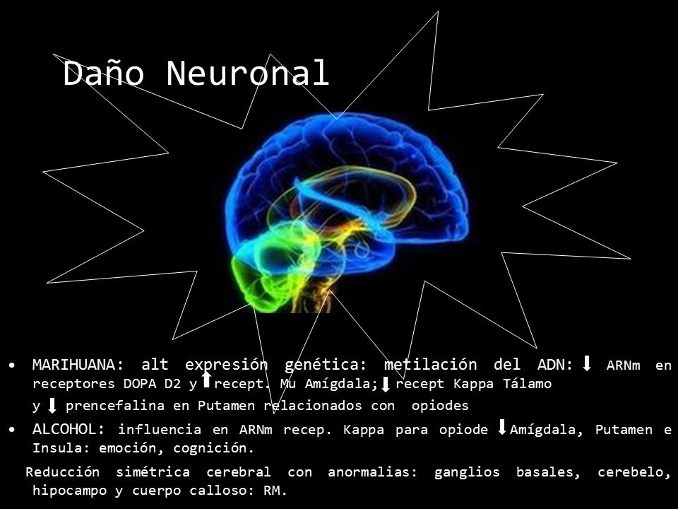 Daño Neuronal MARIHUANA: alt expresión genética: metilación del ADN: ARNm en receptores DOPA D2 y recept. Mu Amígdala; recept Kappa Tálamo.