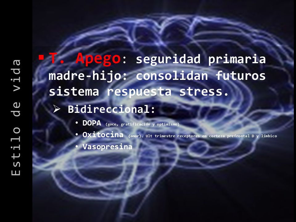 Estilo de vida T. Apego: seguridad primaria madre-hijo: consolidan futuros sistema respuesta stress.