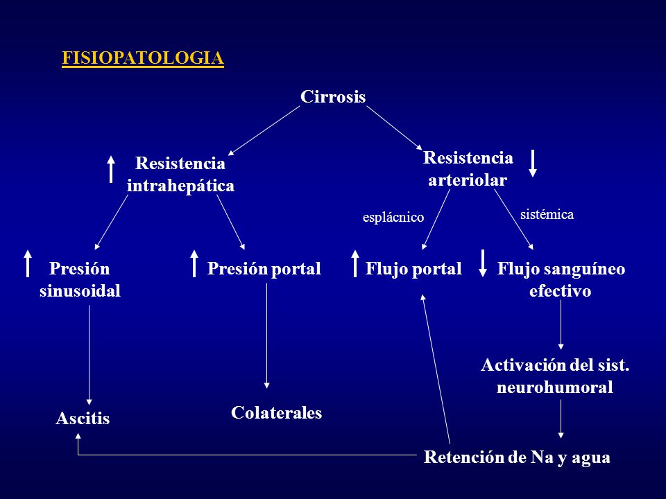 FISIOPATOLOGIA Cirrosis Resistencia arteriolar Resistencia