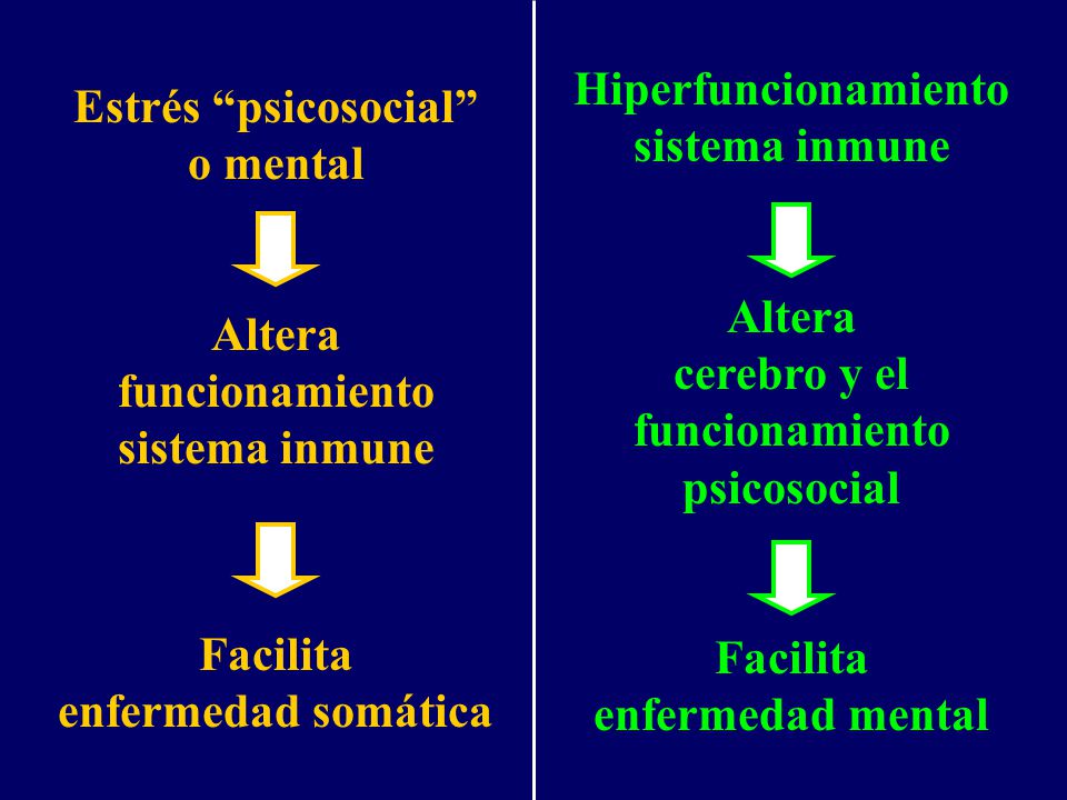 Hiperfuncionamiento sistema inmune. Altera. cerebro y el. funcionamiento. psicosocial. Facilita.